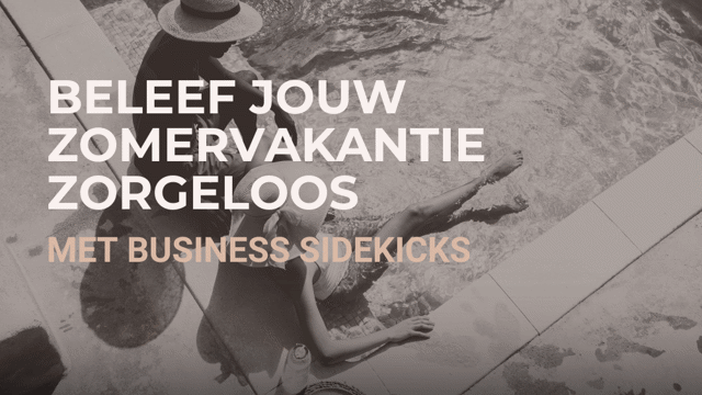 Business Sidekicks Overzicht